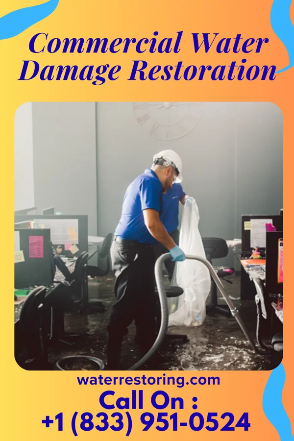 Commercial Water Damage Restoration in Pickwick, MN