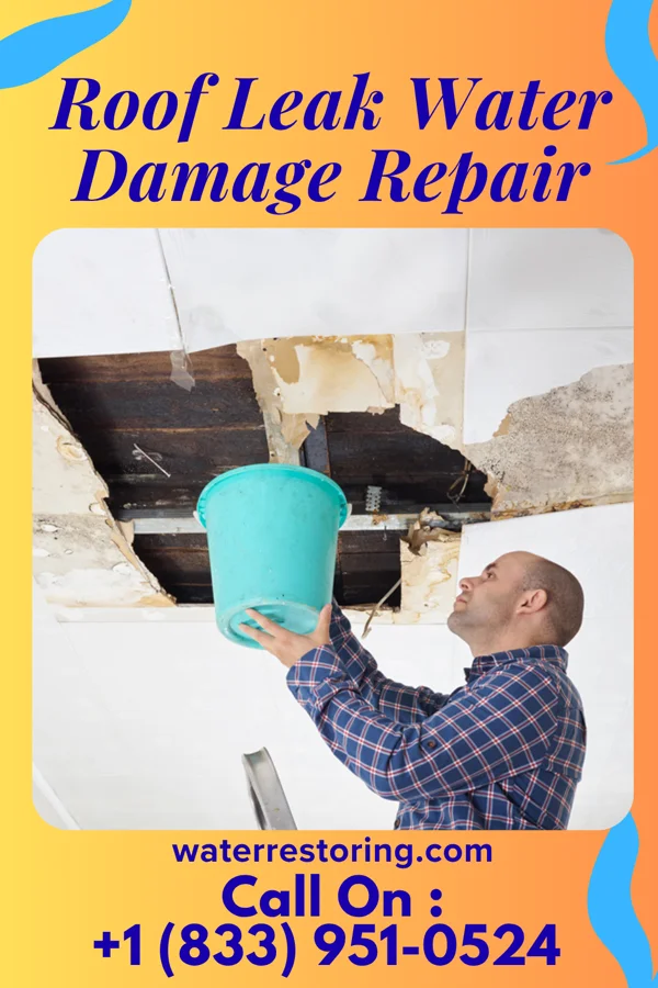 Roof Leak Water Damage Repair in Pickwick, MN